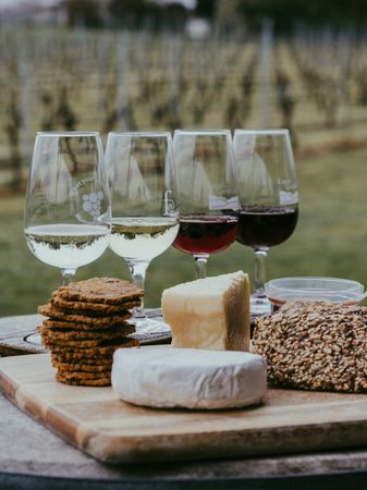 Wine and cheese tasting board in the vineyard